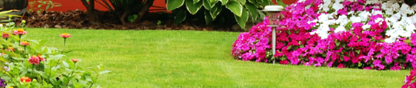Top Gardens Trends for 2017 Top Gardens Trends for 2017